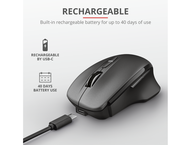 Мишки Trust Themo Rechargeable Wireless Mouse
