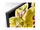 Телевизори Sony KD-49XG8096