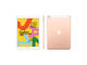 Таблети Apple iPad 10.2 Wi-Fi 128GB Gold