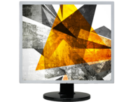 Монитори AOC E719SDA 17"