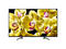 Телевизори Sony KD-55XG8096