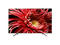 Телевизори Sony KD-65XG8577