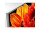 Телевизори Sony KD-49XG8377