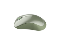 Мишки Canyon MW-11 CNE-CMSW11SM