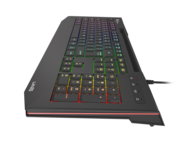 Клавиатури Genesis LITH 400 RGB