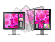 Монитори Dell P1914S