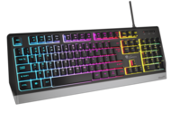 Клавиатури Genesis RHOD 300 RGB