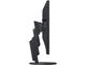 Монитори EIZO EV2457-BK