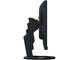 Монитори EIZO EV2480-BK