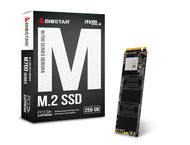 SSD Biostar M700-256GB M.2 PCI Express SSD