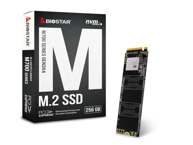 SSD Biostar M700-256GB M.2 PCI Express SSD