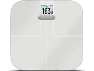 Кантари Garmin Index S2