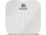 Кантари Garmin Index S2