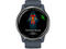 Смарт часовници Garmin Venu 2  Silver/Granite Blue