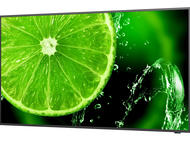 Монитори NEC MULTISYNC E438