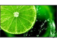 Монитори NEC MULTISYNC E438