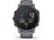 Смарт часовници Garmin Fenix 6S Pro Solar Amethyst Steel / Shale Gray 