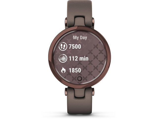 Смарт часовници Garmin Lily Dark Bronze/Paloma