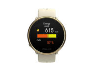 Смарт часовници Polar Ignite 2 CHAMPAGNE/GOLD S-L