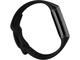 Смарт гривни Fitbit Charge 5 Black / Graphite Stainless Steel