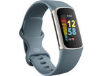 Смарт гривни Fitbit Charge 5 Steel Blue/Platinum Stainless Steel