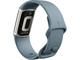 Смарт гривни Fitbit Charge 5 Steel Blue/Platinum Stainless Steel