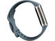 Смарт гривни Fitbit Charge 5 Steel Blue/Platinum Stainless Steel
