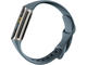 Смарт гривни Fitbit Charge 5 Steel Blue/Platinum Stainless Steel