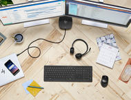 Мишки HP Wireless Premium Mouse