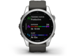 Смарт часовници Garmin Fenix 7S Silver/Graphite