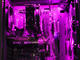 G:RIGS G:RIGS > Pavel Kolev & Icaka - Igrachi (Intel Gen12+)