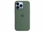 Калъфи Apple iPhone 13 Pro Silicone Case with MagSafe - Eucalyptus (Seasonal Spring 2022)