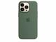 Калъфи Apple iPhone 13 Pro Silicone Case with MagSafe - Eucalyptus (Seasonal Spring 2022)