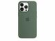 Калъфи Apple iPhone 13 Pro Silicone Case with MagSafe - Eucalyptus (Seasonal Spring 2022)