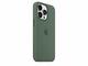 Калъфи Apple iPhone 13 Pro Silicone Case with MagSafe - Eucalyptus (Seasonal Spring 2022)