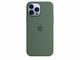 Калъфи Apple iPhone 13 Pro Max Silicone Case with MagSafe - Eucalyptus (Seasonal Spring 2022)