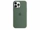 Калъфи Apple iPhone 13 Pro Max Silicone Case with MagSafe - Eucalyptus (Seasonal Spring 2022)
