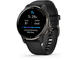 Смарт часовници Garmin Venu 2 Plus Slate Black
