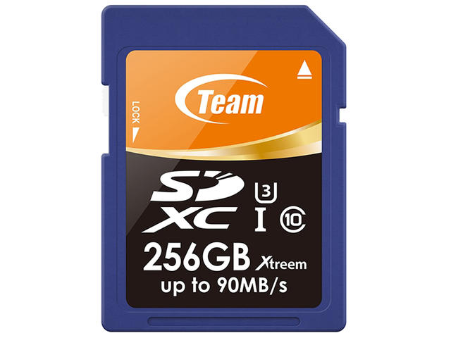 Карти памет Team Group Elite XTREEM, 256GB