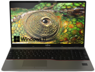 Лаптопи Fujitsu Lifebook U7512