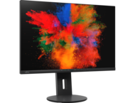 Монитори Fujitsu B2410 WS