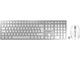 Клавиатури CHERRY DW 9000 SLIM, white/silver