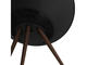 Колони Bang & Olufsen Beoplay A9 4-то поколение, Black/Black Walnut 2