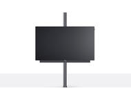 Телевизори Loewe bild i 48 dr+