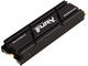 SSD 500GB Kingston Fury Renegade Heatsink NVMe