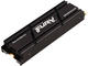 SSD 2TB Kingston Fury Renegade Heatsink NVMe