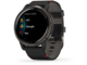 Смарт часовници Garmin Venu 2 SLate/Black Leather band