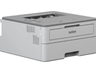 Принтери Brother HL-B2080DW