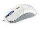 Мишки Endorfy GEM Plus Onyx White