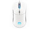 Мишки Endorfy GEM Plus Onyx White